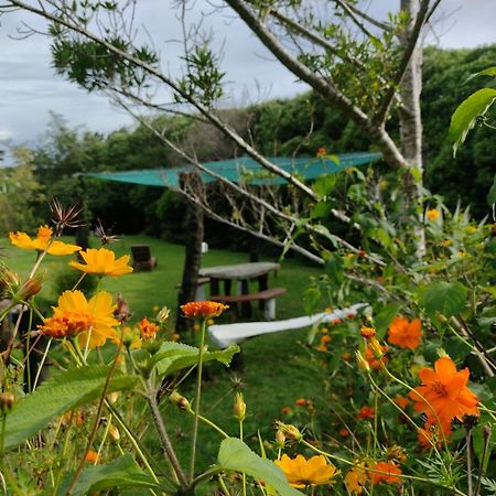 Hotel Claro De Luna Monteverde ภายนอก รูปภาพ