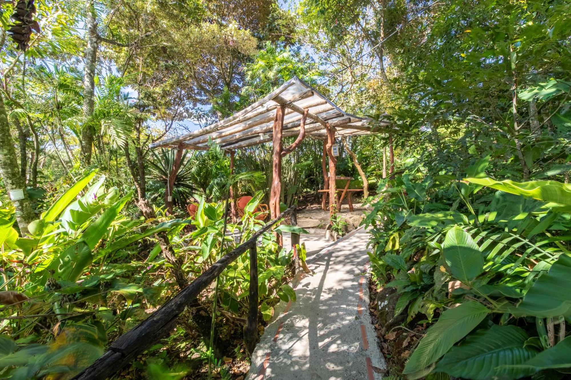 Hotel Claro De Luna Monteverde ภายนอก รูปภาพ