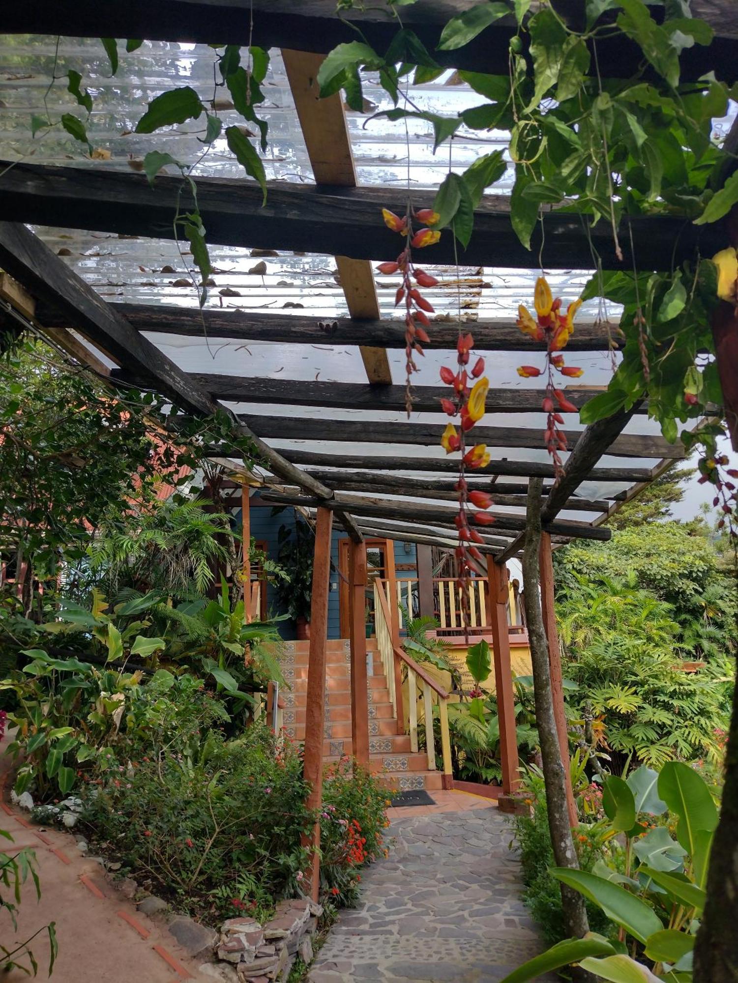Hotel Claro De Luna Monteverde ภายนอก รูปภาพ