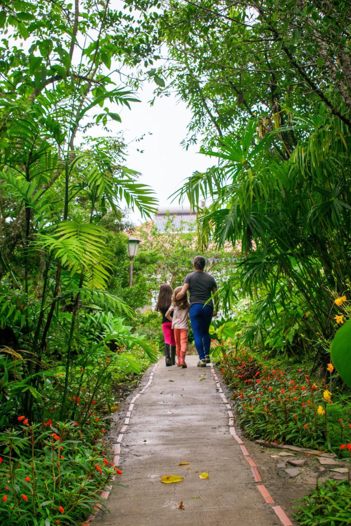 Hotel Claro De Luna Monteverde ภายนอก รูปภาพ