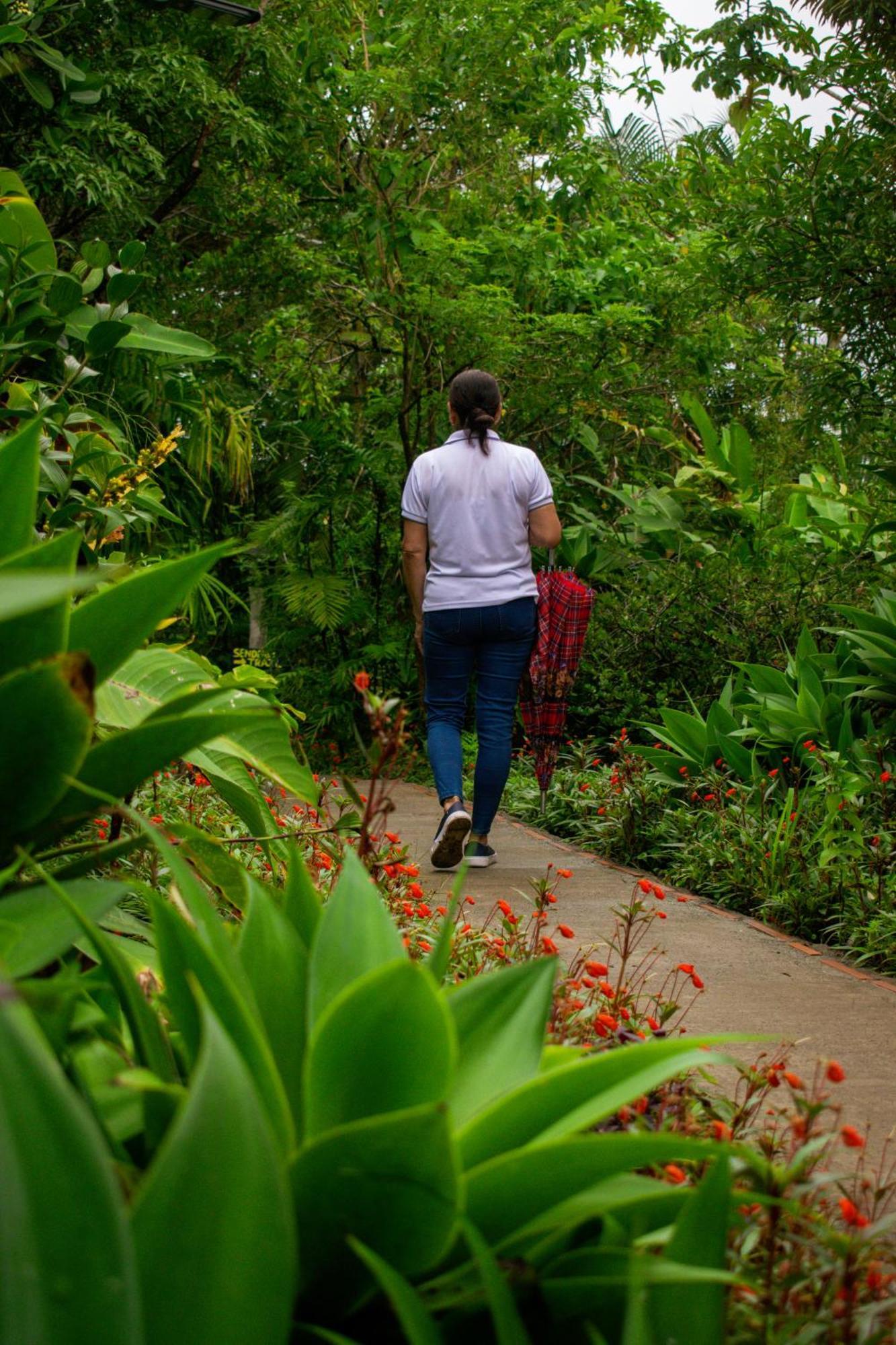 Hotel Claro De Luna Monteverde ภายนอก รูปภาพ