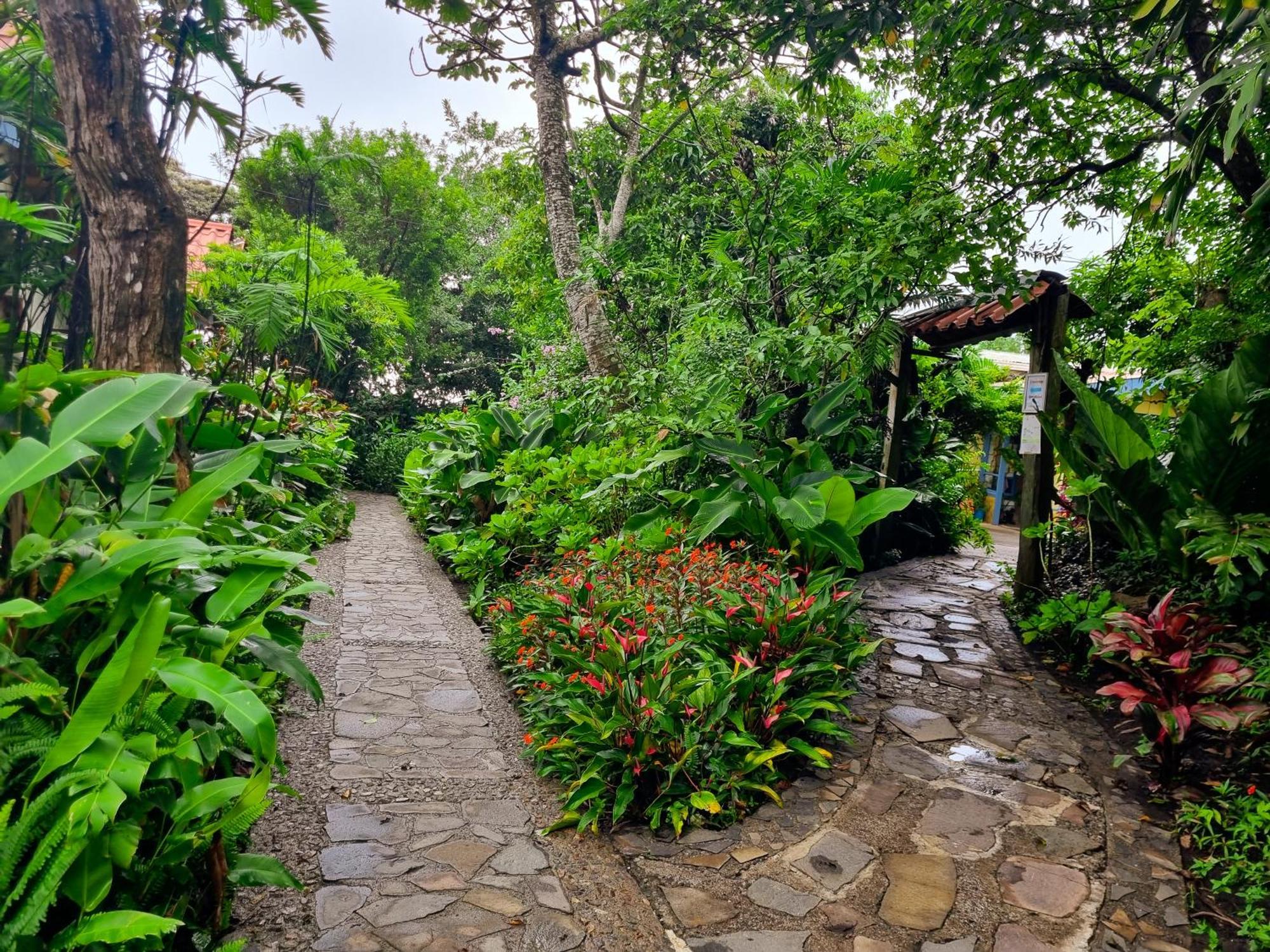 Hotel Claro De Luna Monteverde ภายนอก รูปภาพ