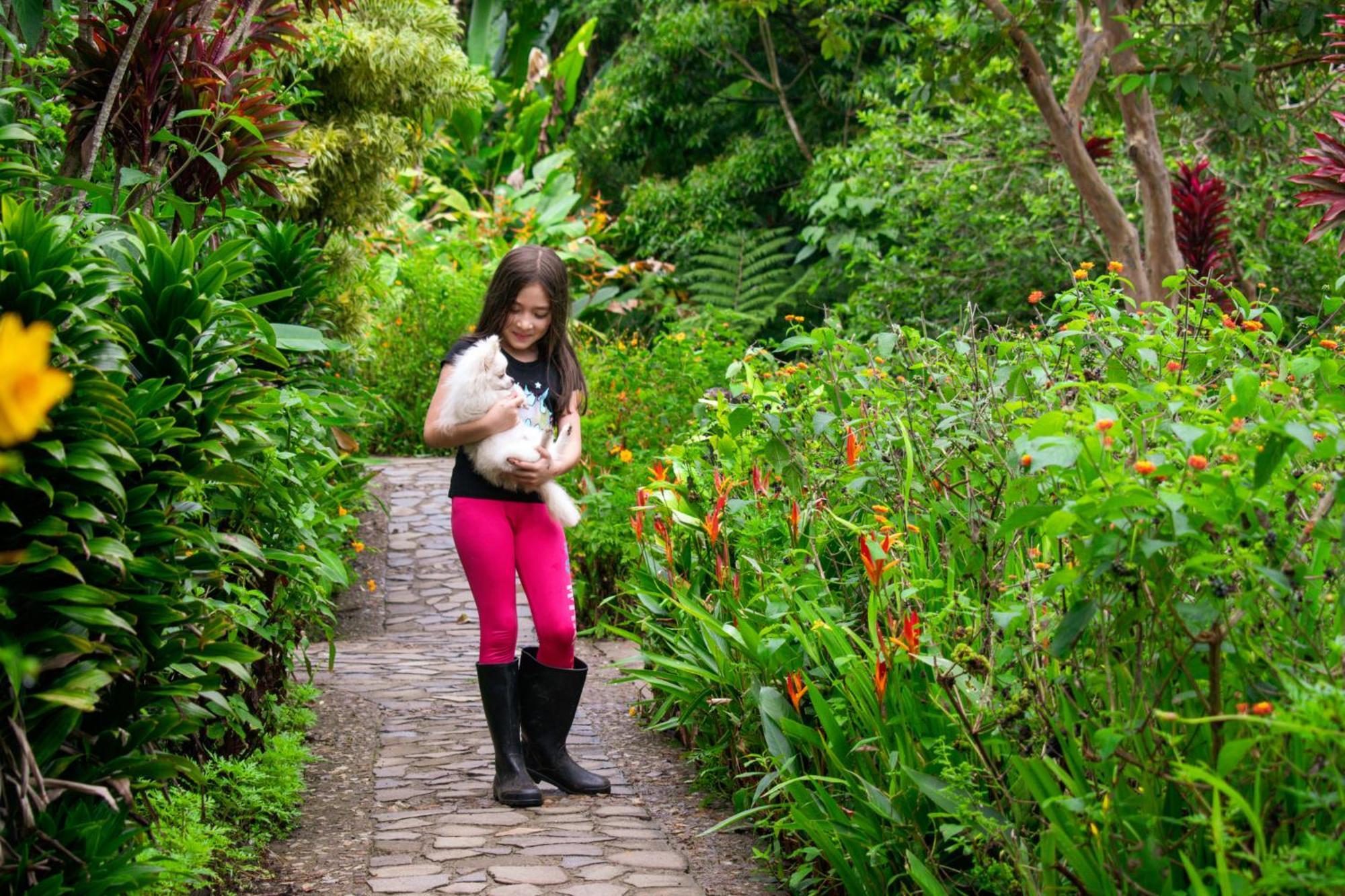 Hotel Claro De Luna Monteverde ภายนอก รูปภาพ