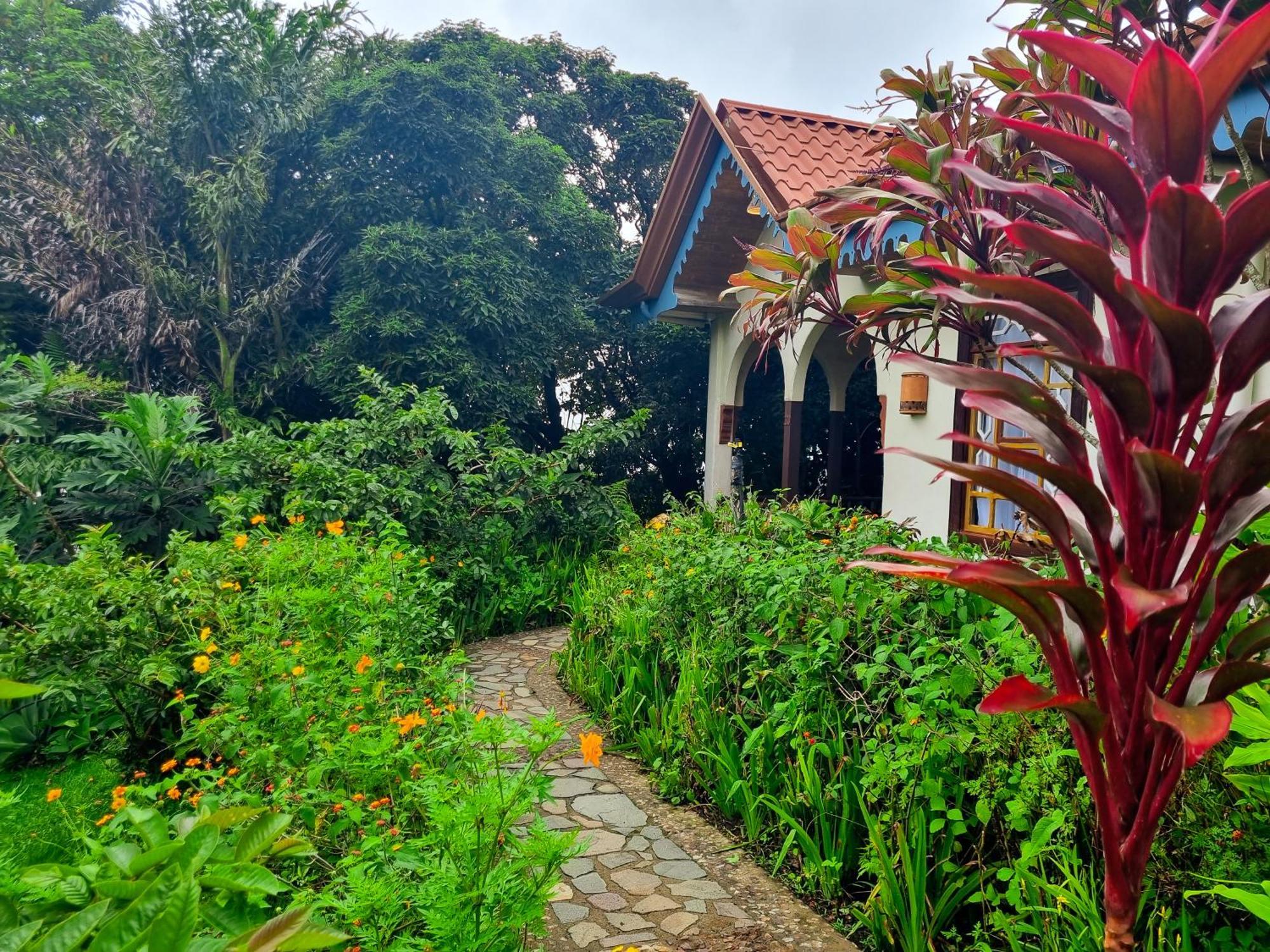 Hotel Claro De Luna Monteverde ภายนอก รูปภาพ